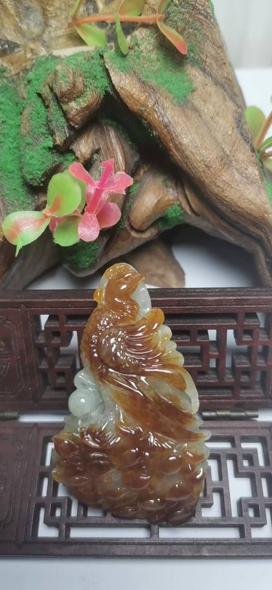 凤舞九天