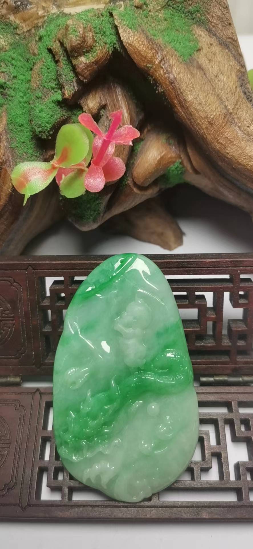 望子成龙