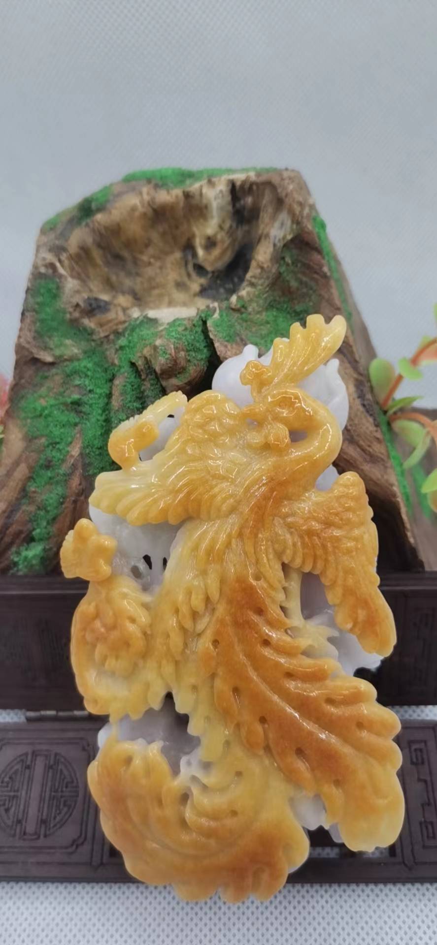 凤舞九天