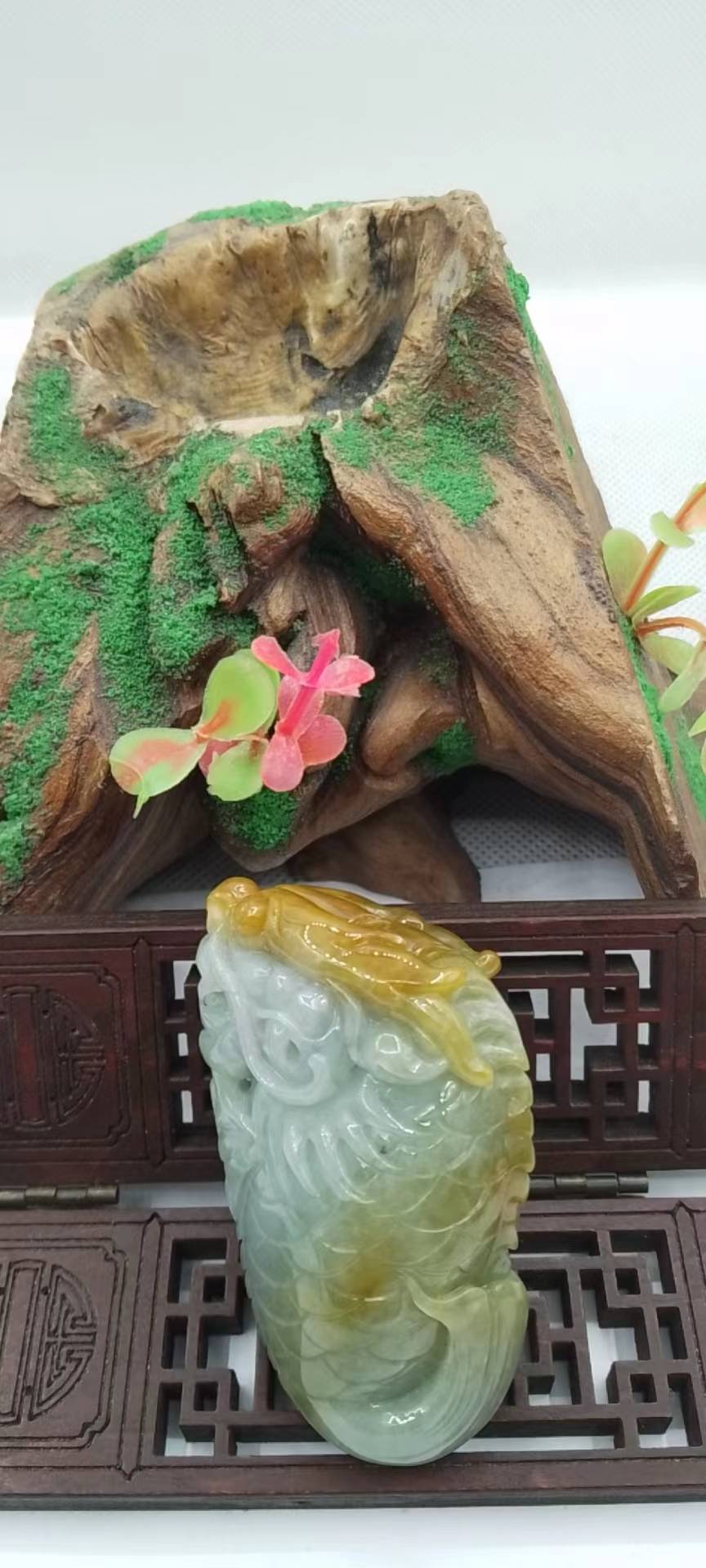 龙头鱼