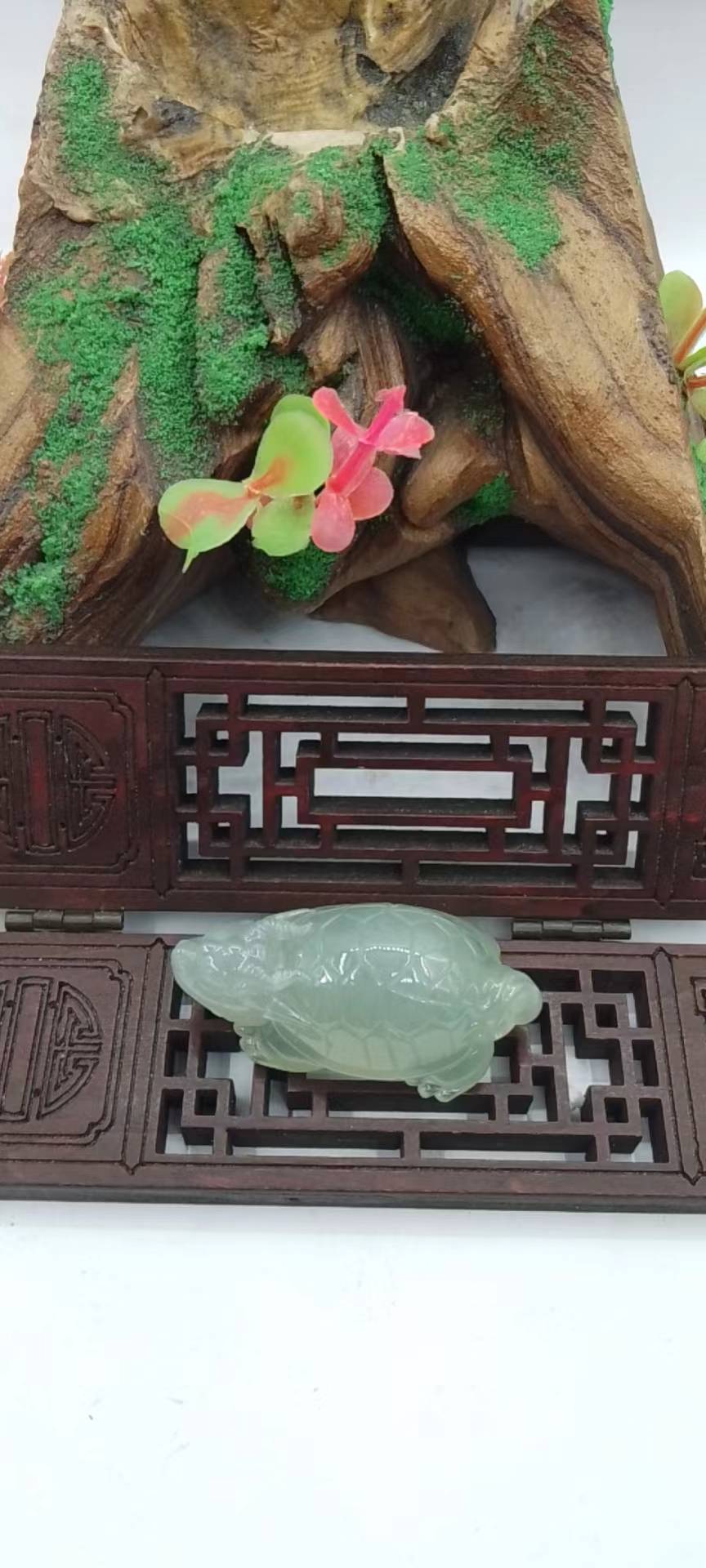 龙头龟