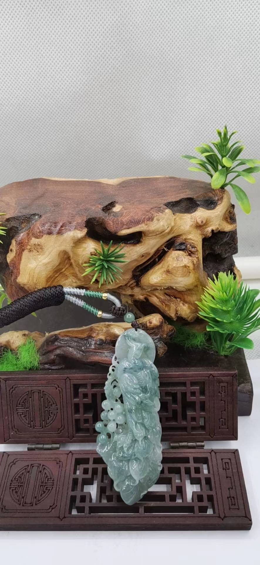 凤舞九天