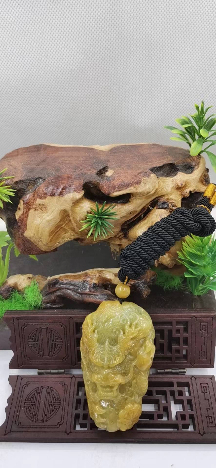 龙御九州