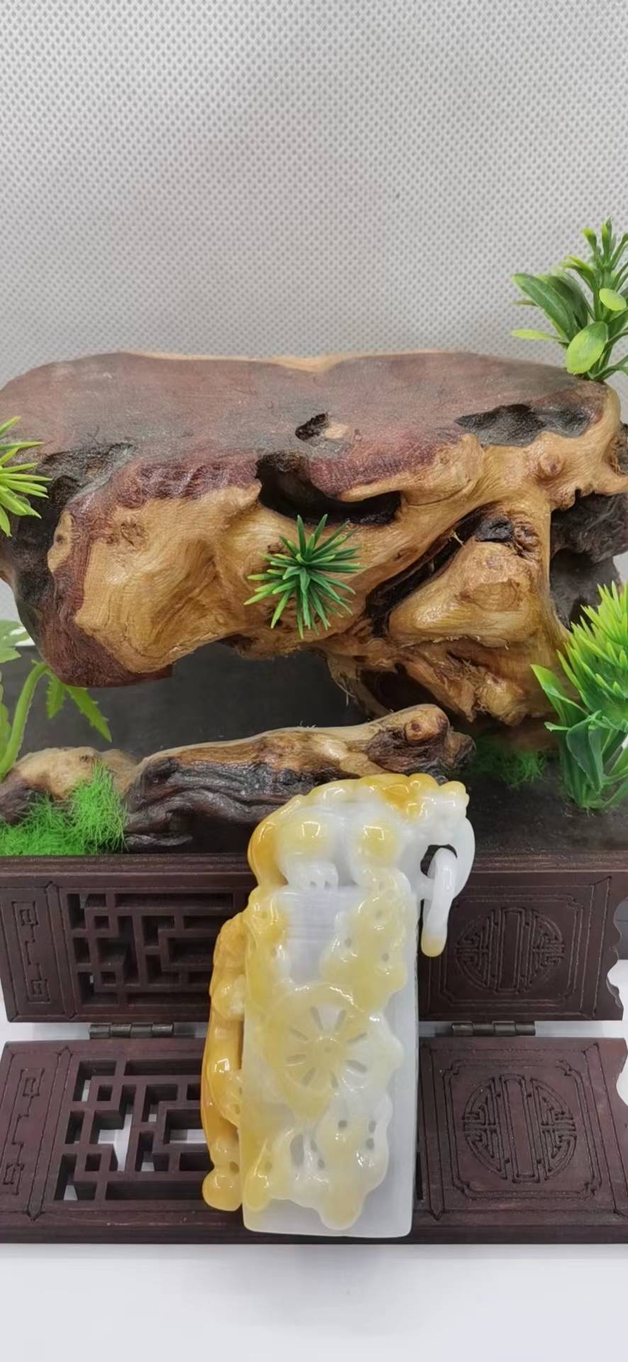 灵兽献瑞