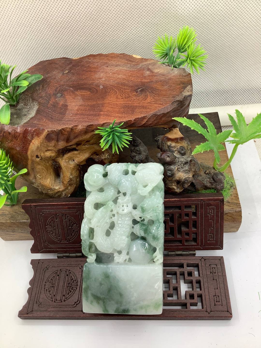 九龙护主