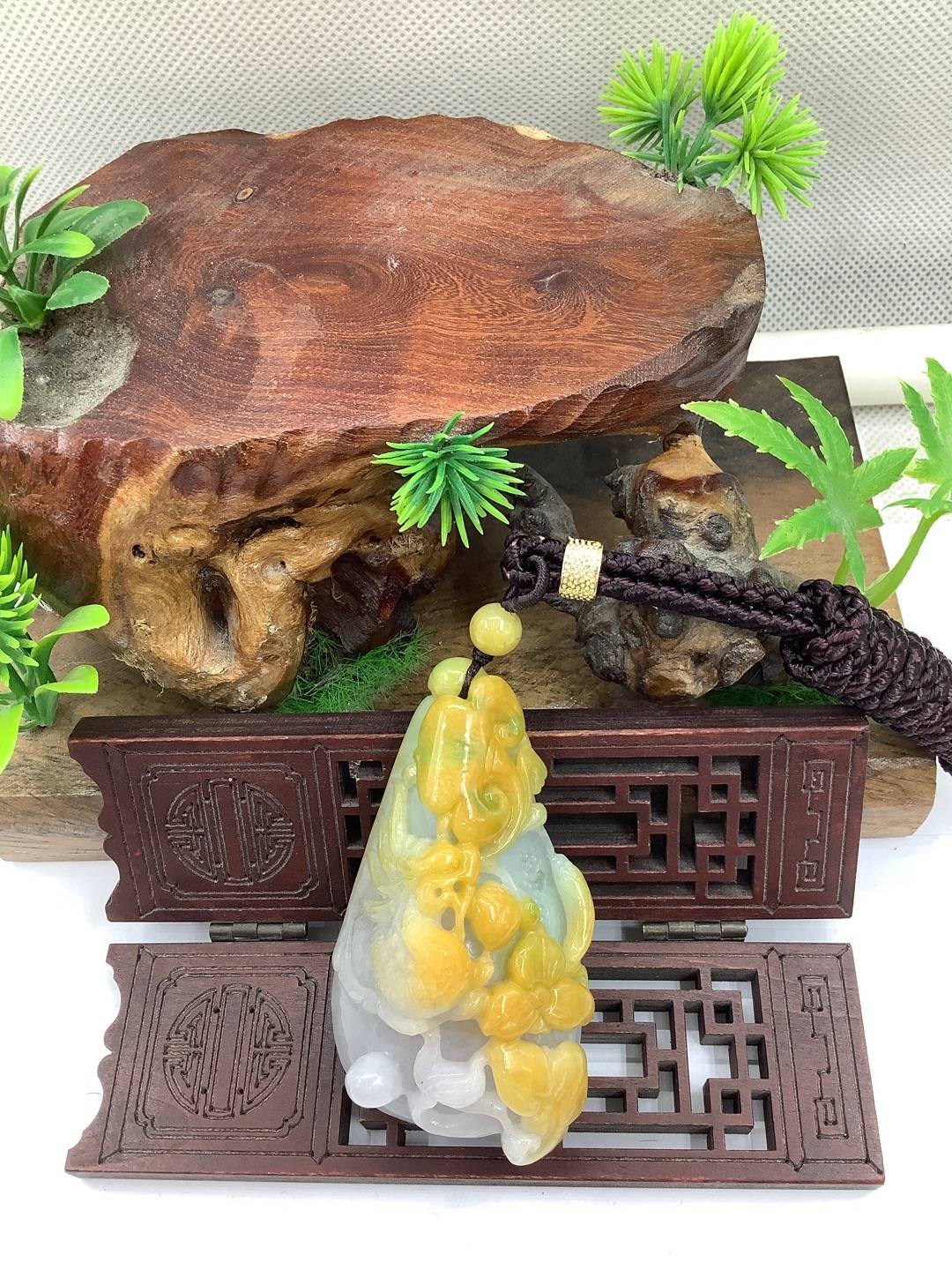 龙游天下