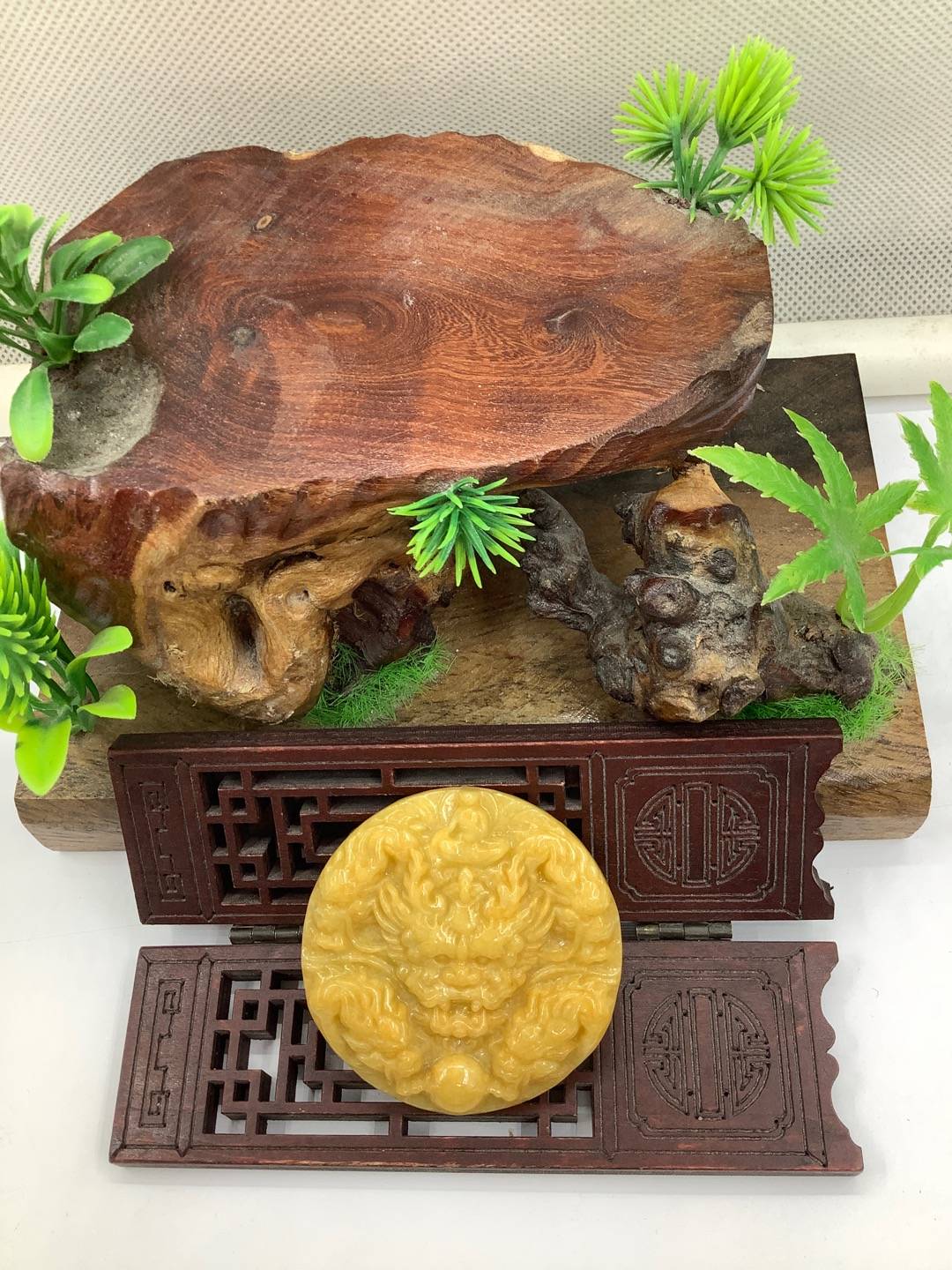 九龙护主