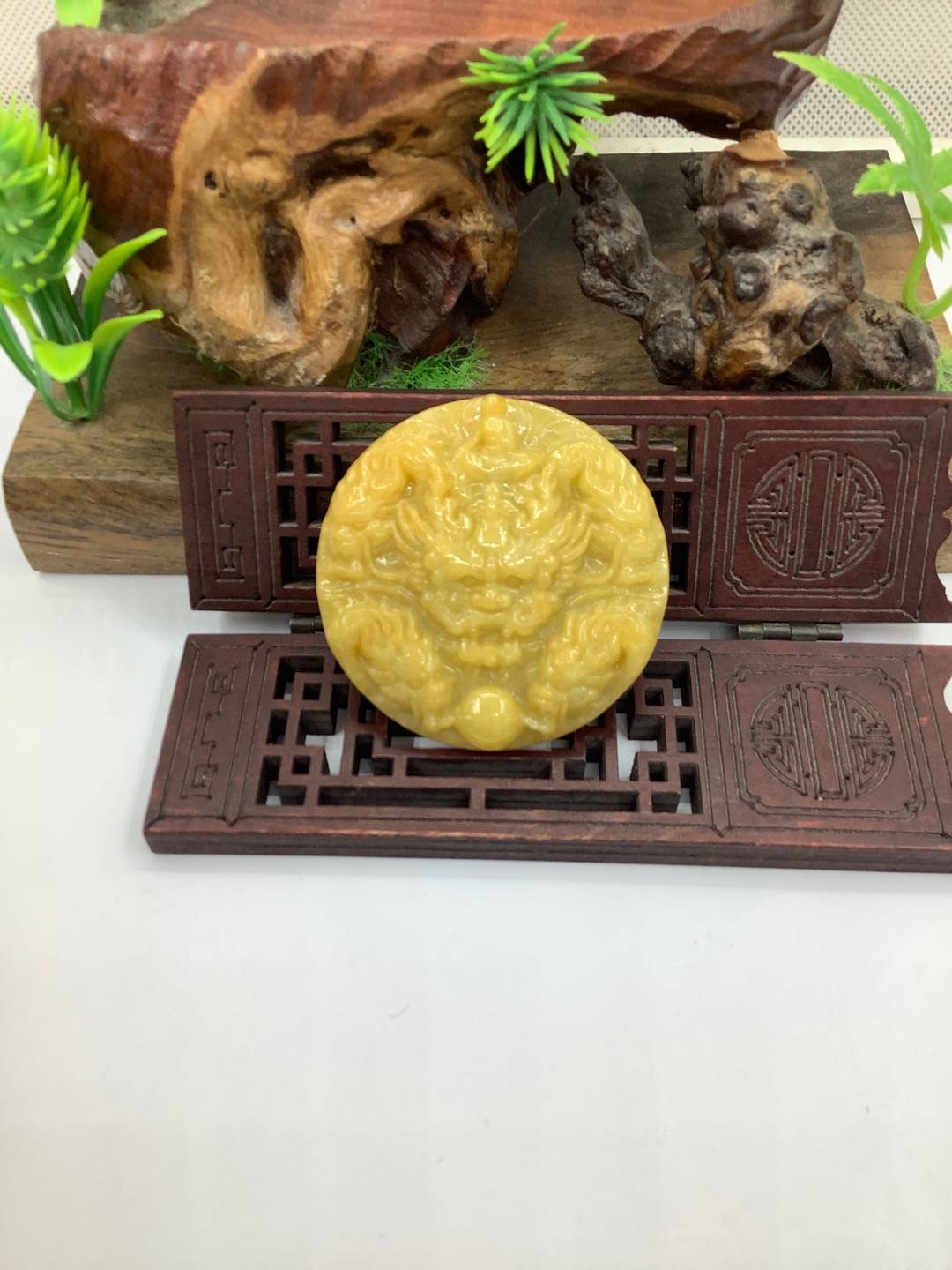 九龙护主