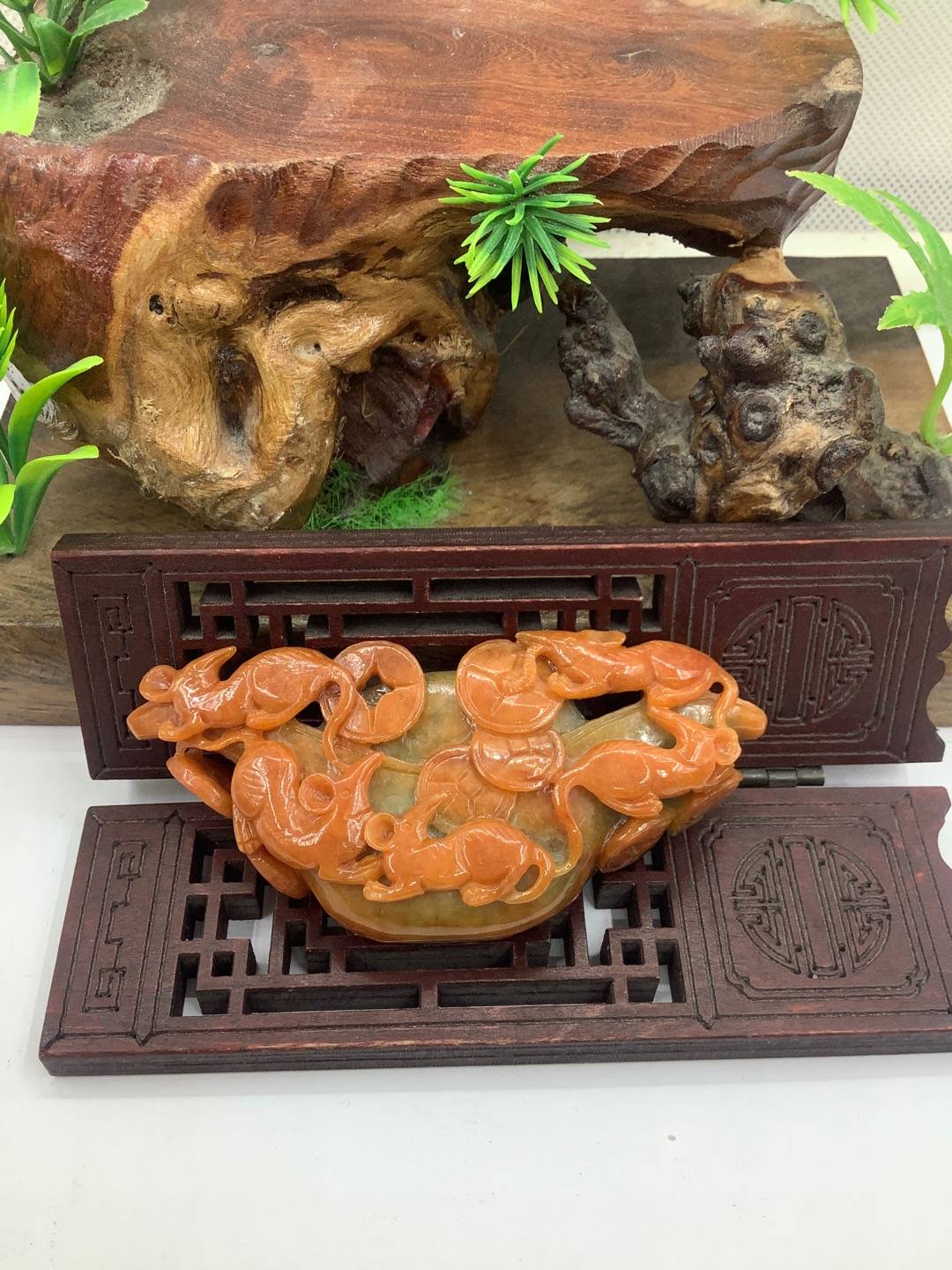 五鼠运财
