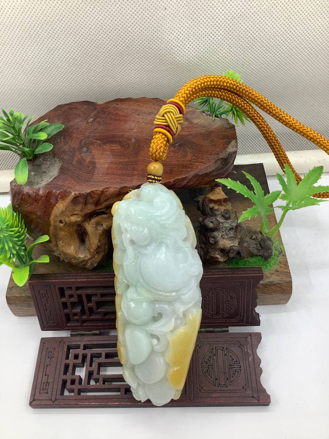 龙龟