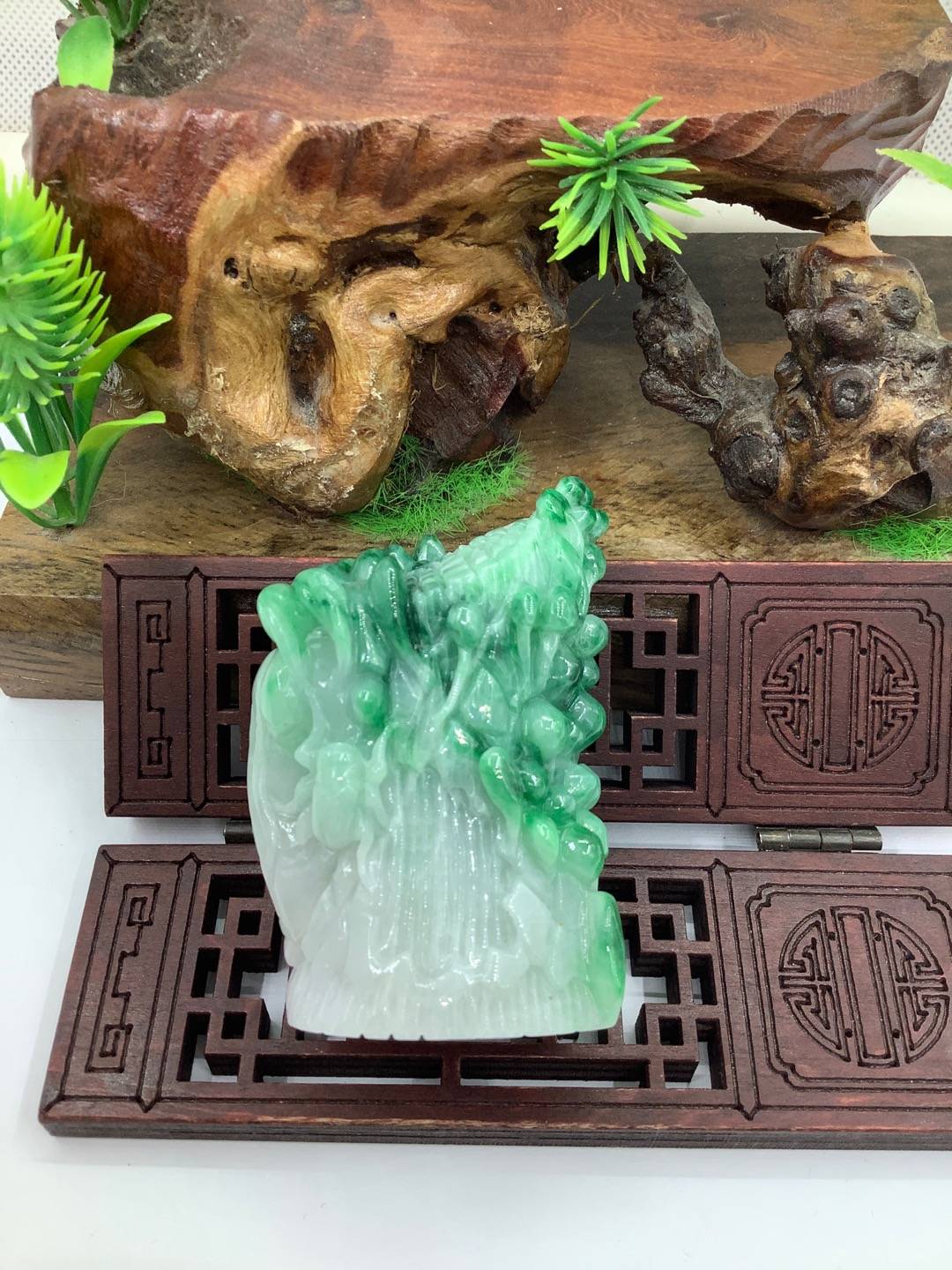 枯木逢春