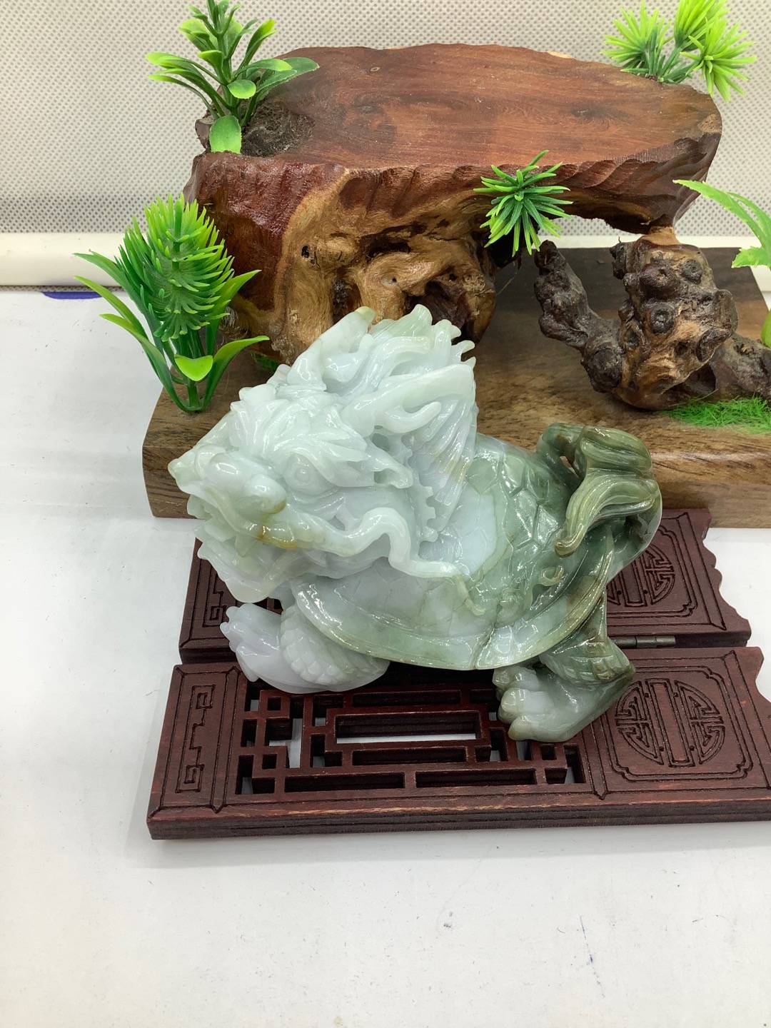龙龟
