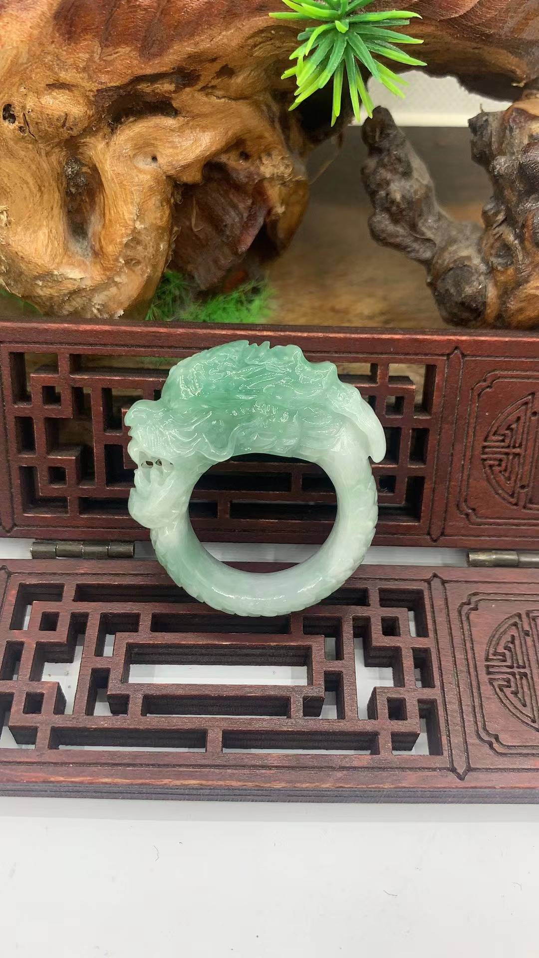 龙霸天下