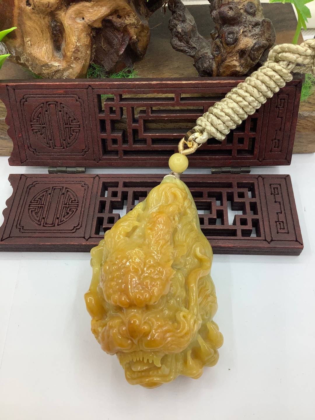 龙霸天下