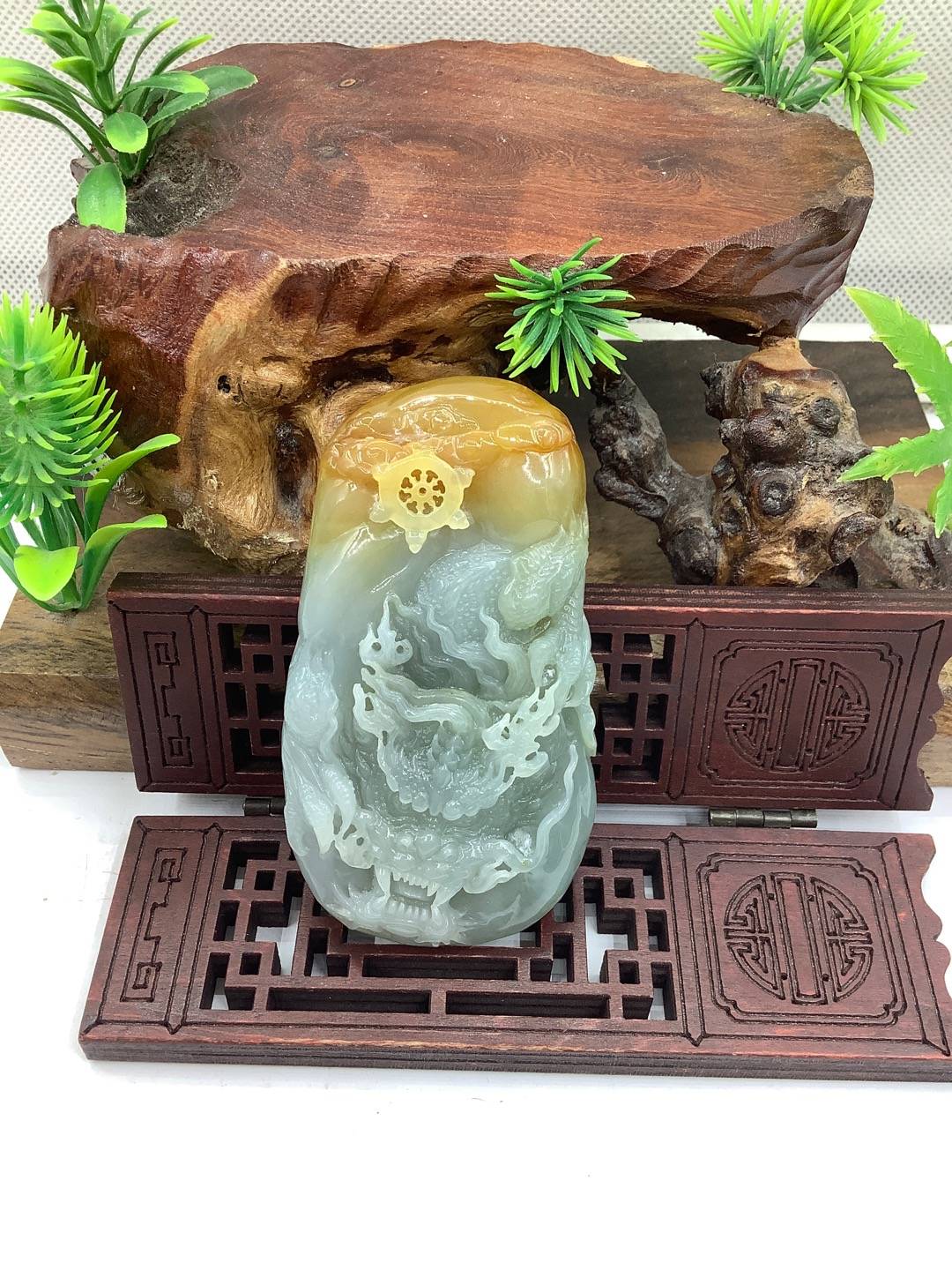 龙霸天下