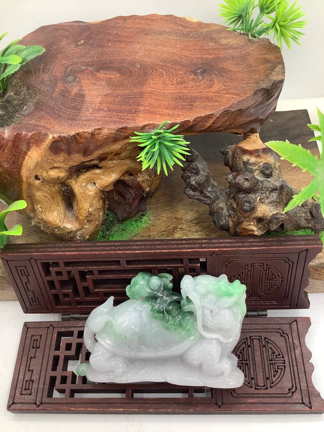 龙龟