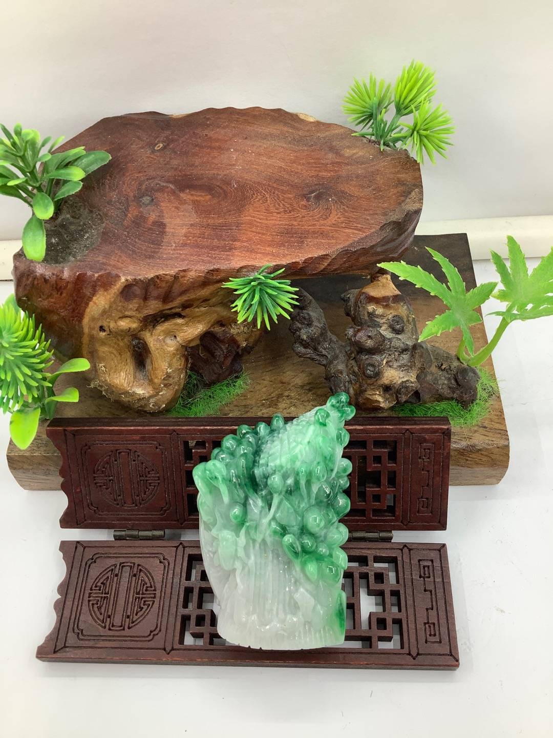 枯木逢春