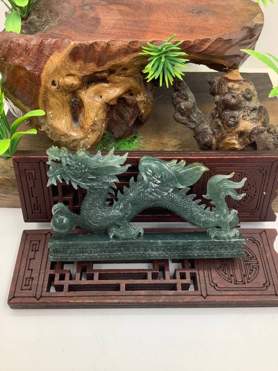 飞龙在天