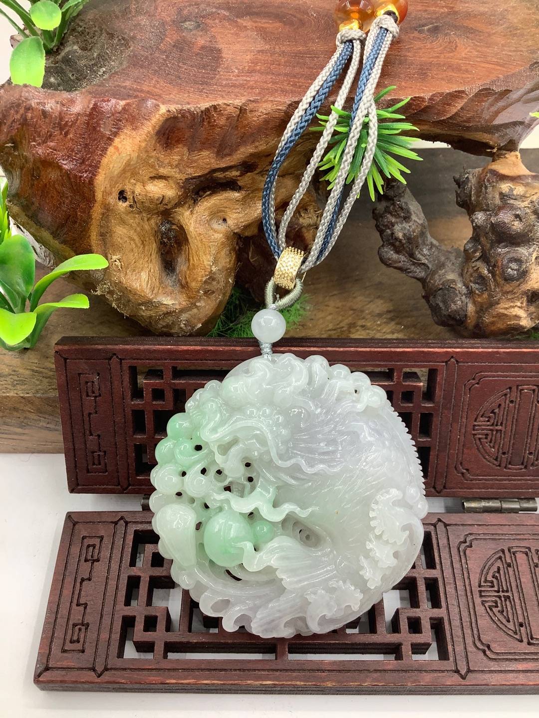 龙鱼