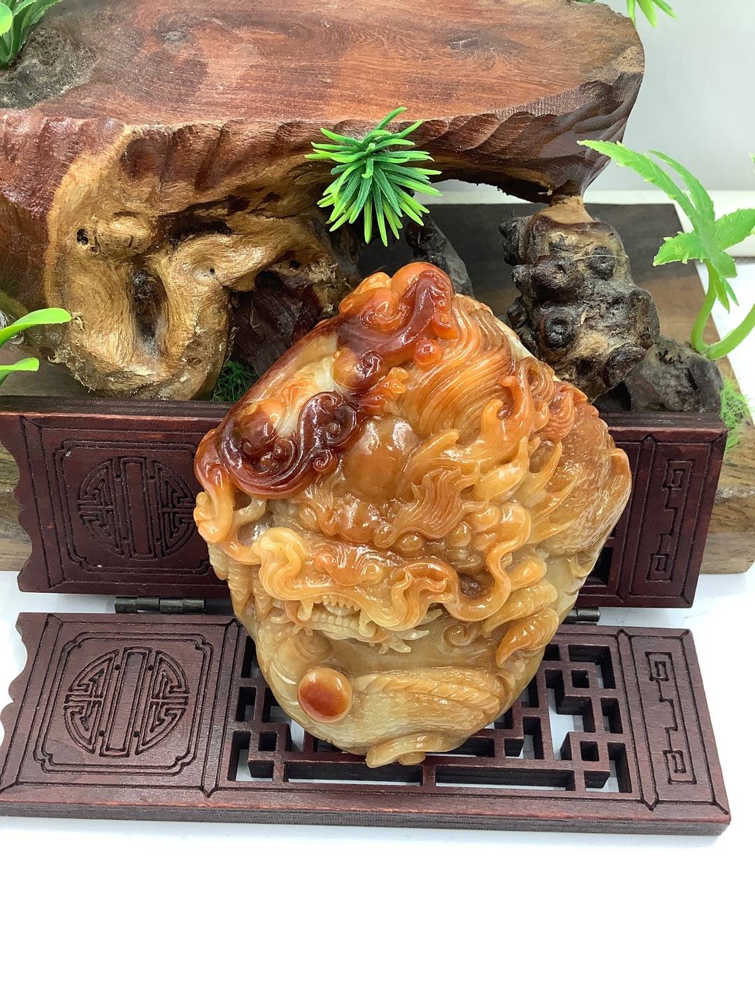 苍龙教子