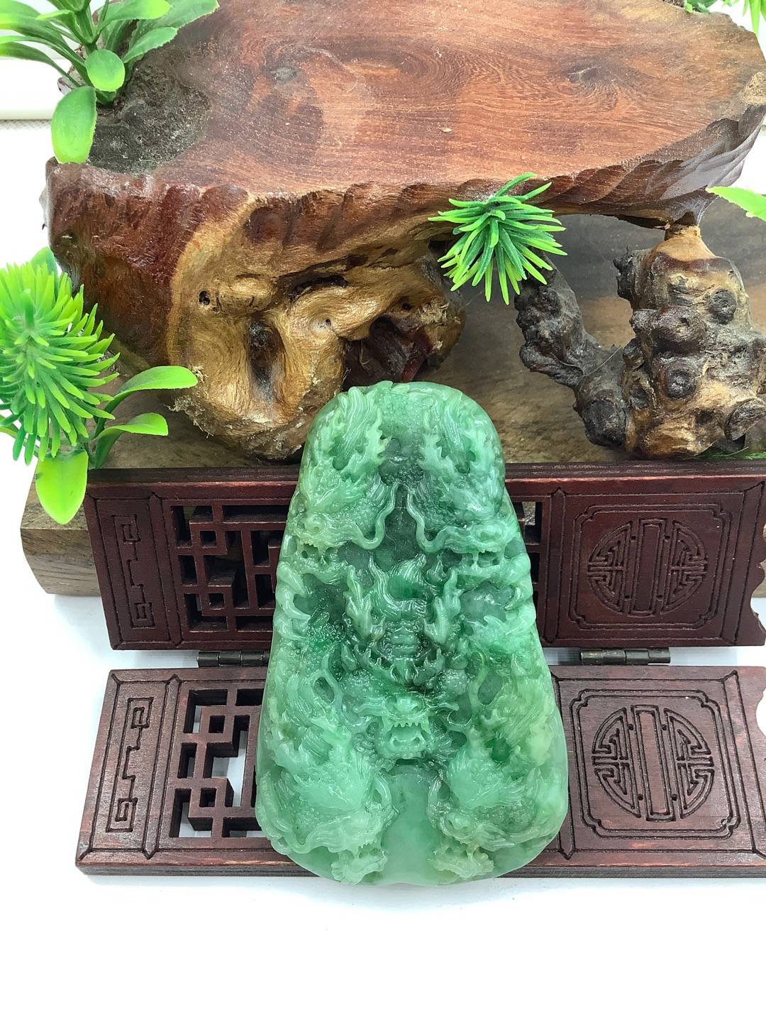 九龙至尊