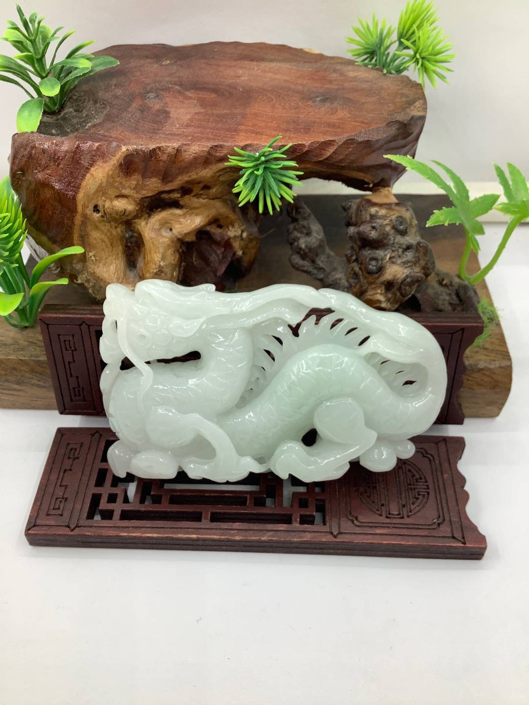 中华神龙