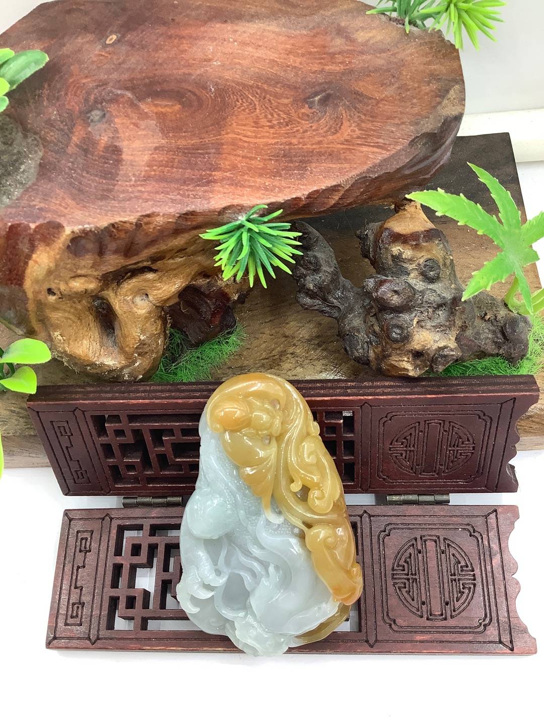 飞龙在天