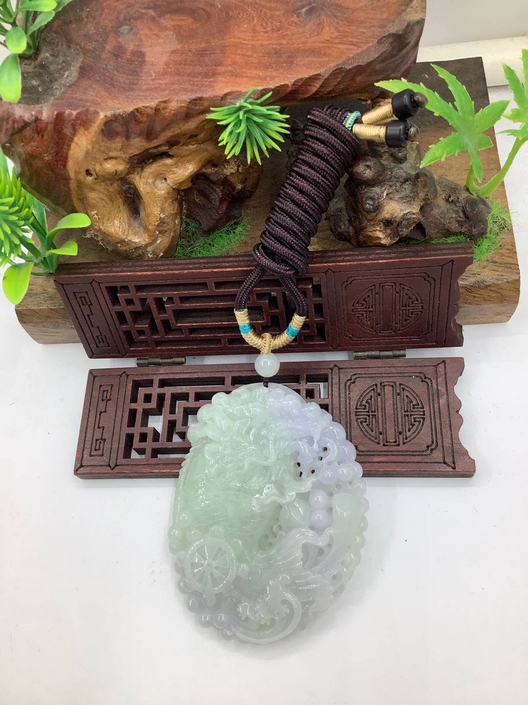 龙鱼