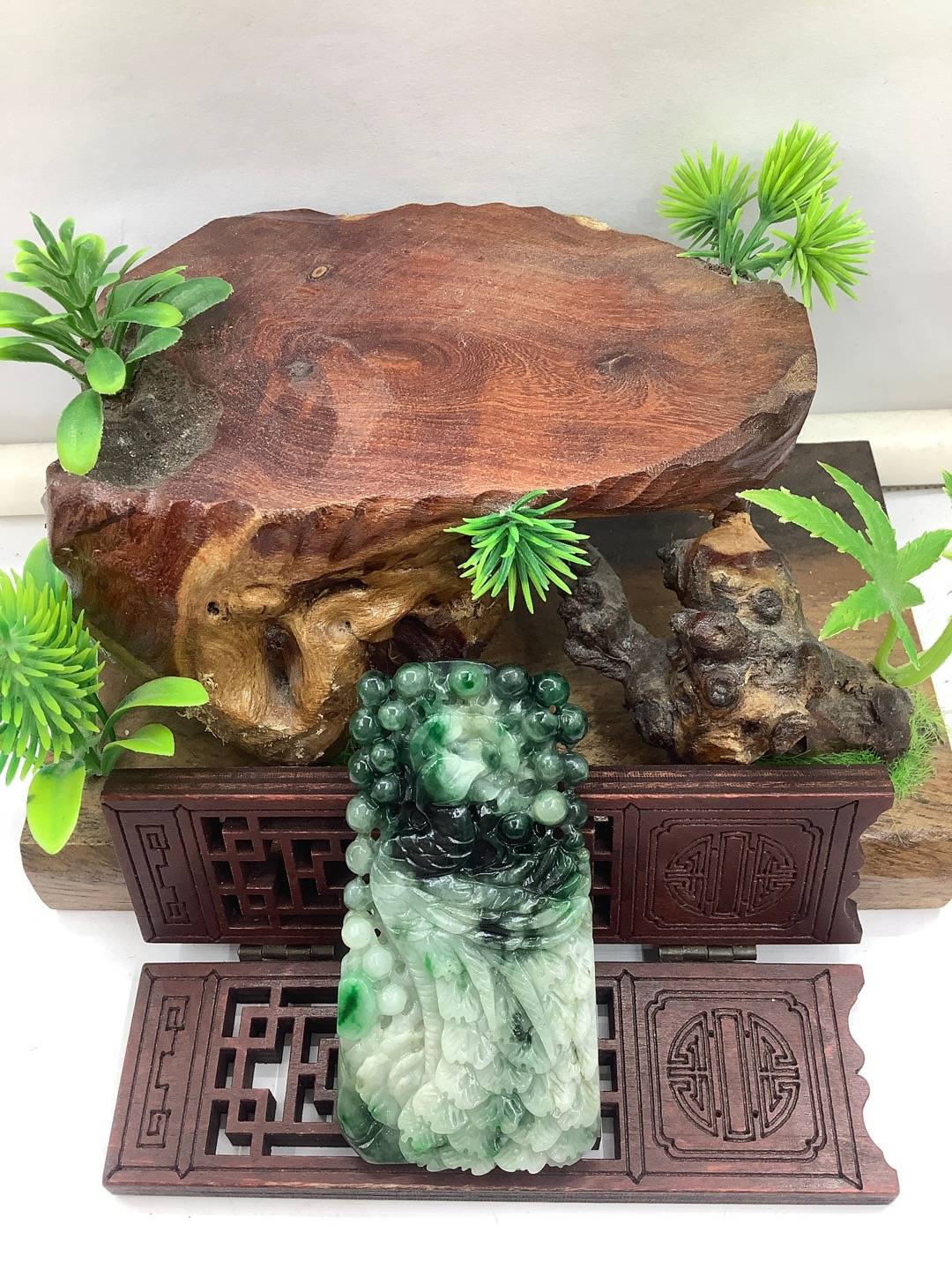 凤舞九天