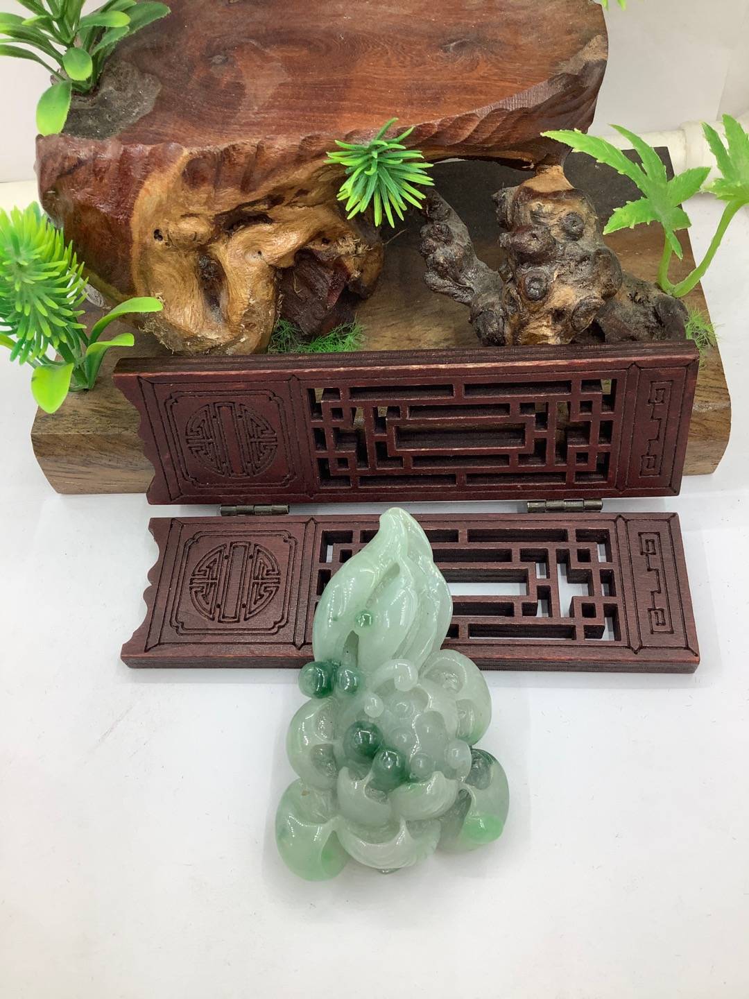 一品青莲