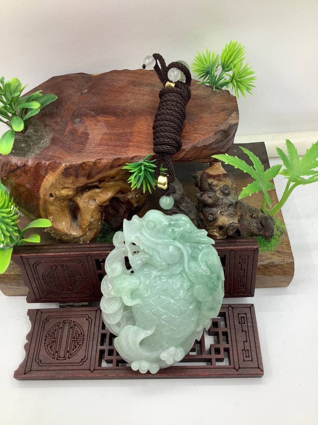 龙鱼