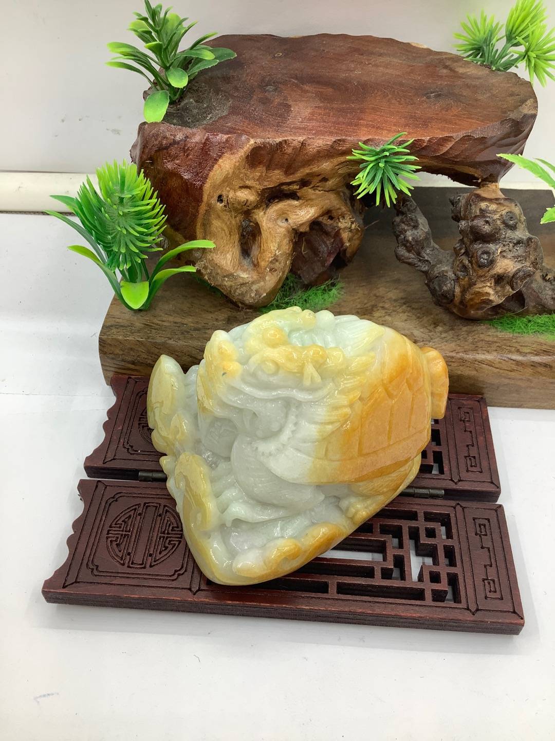 龙龟