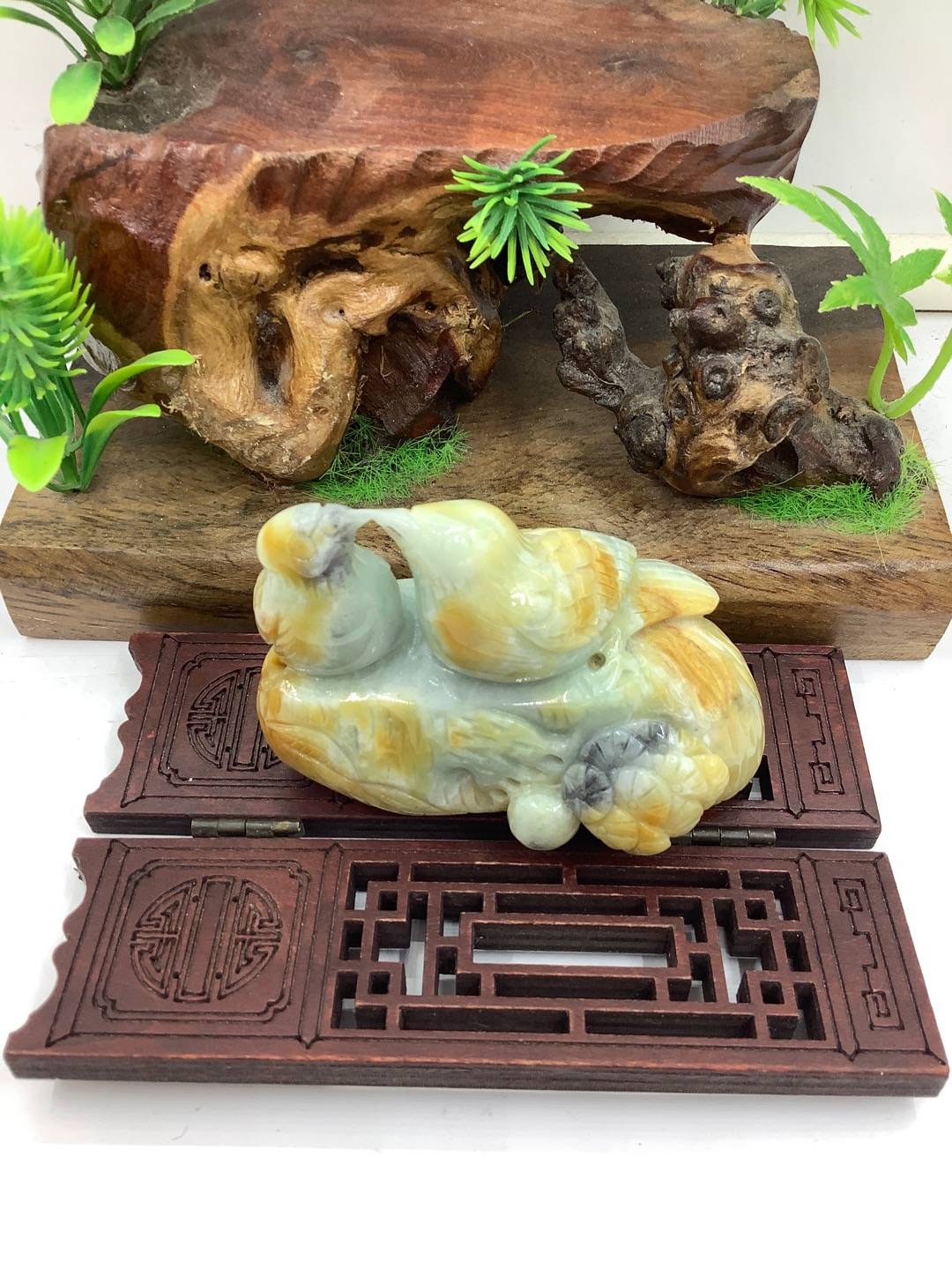比翼双飞