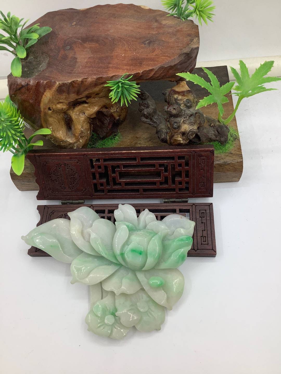 一品青莲