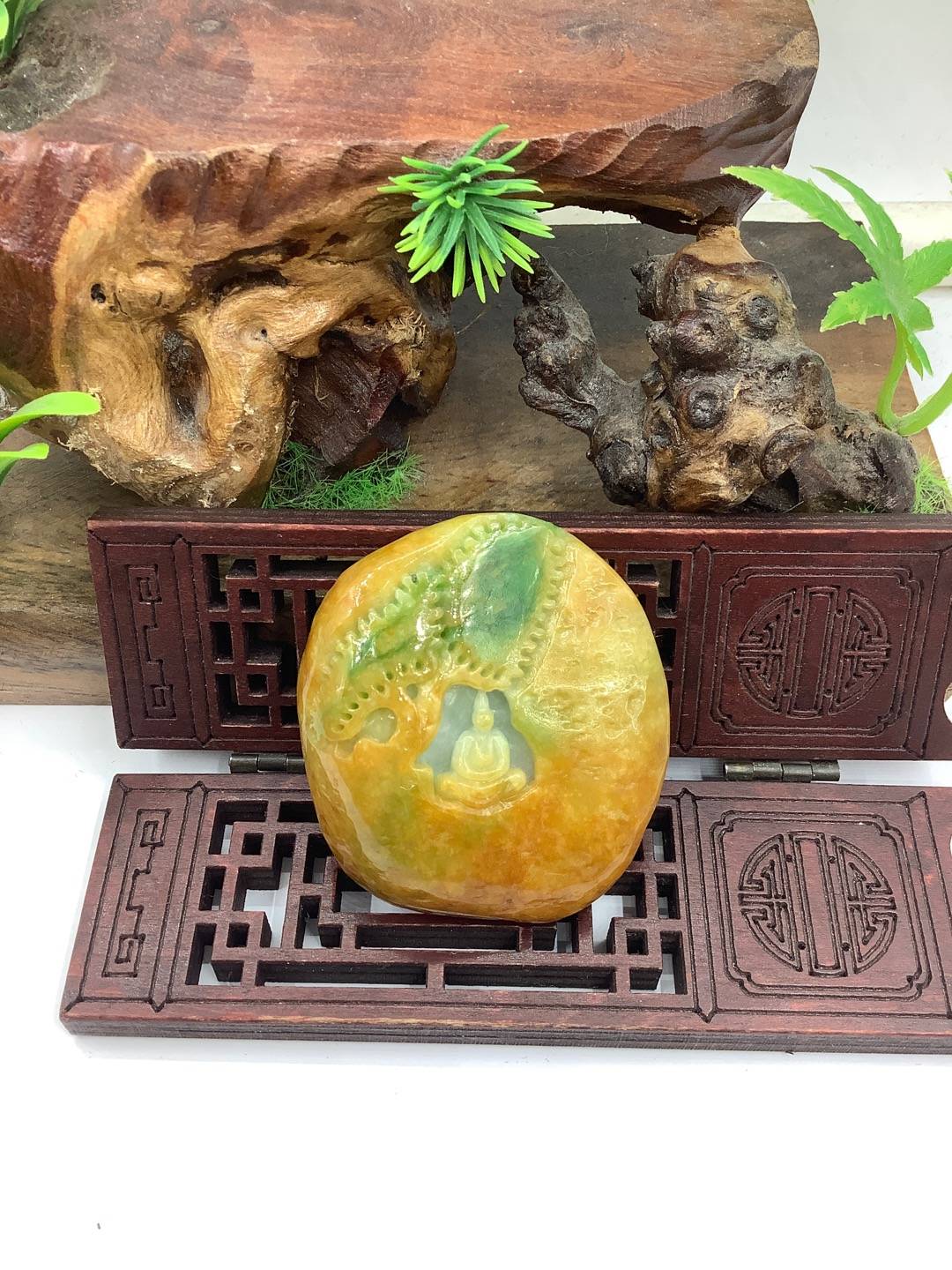 感悟人身