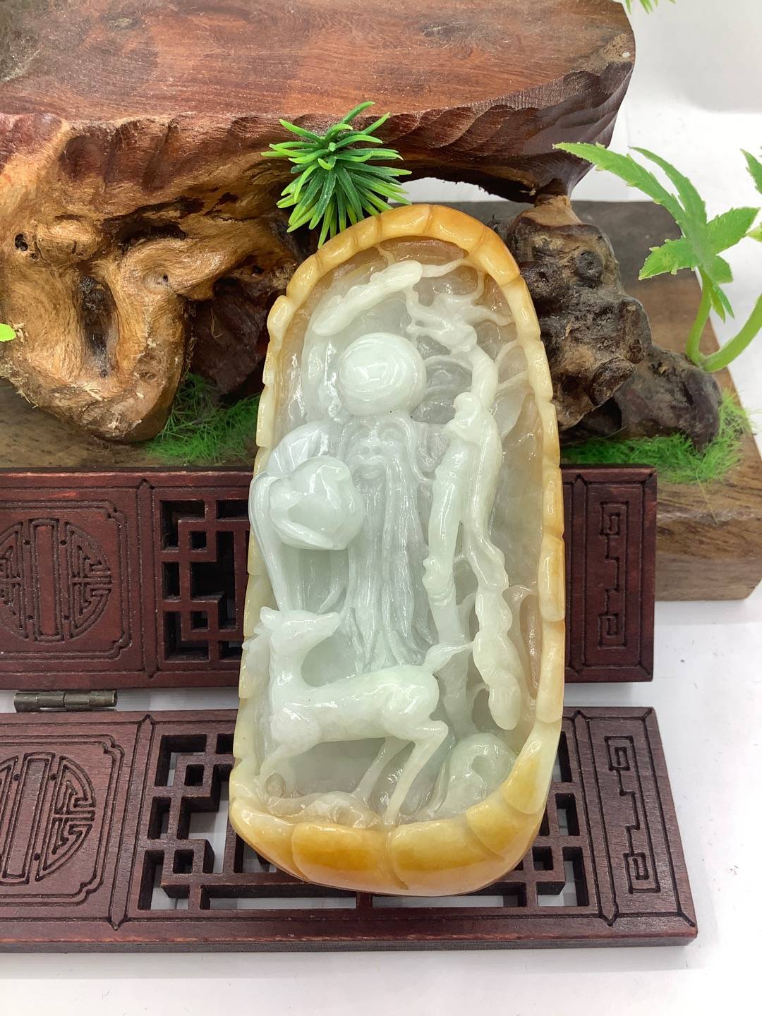 寿星公