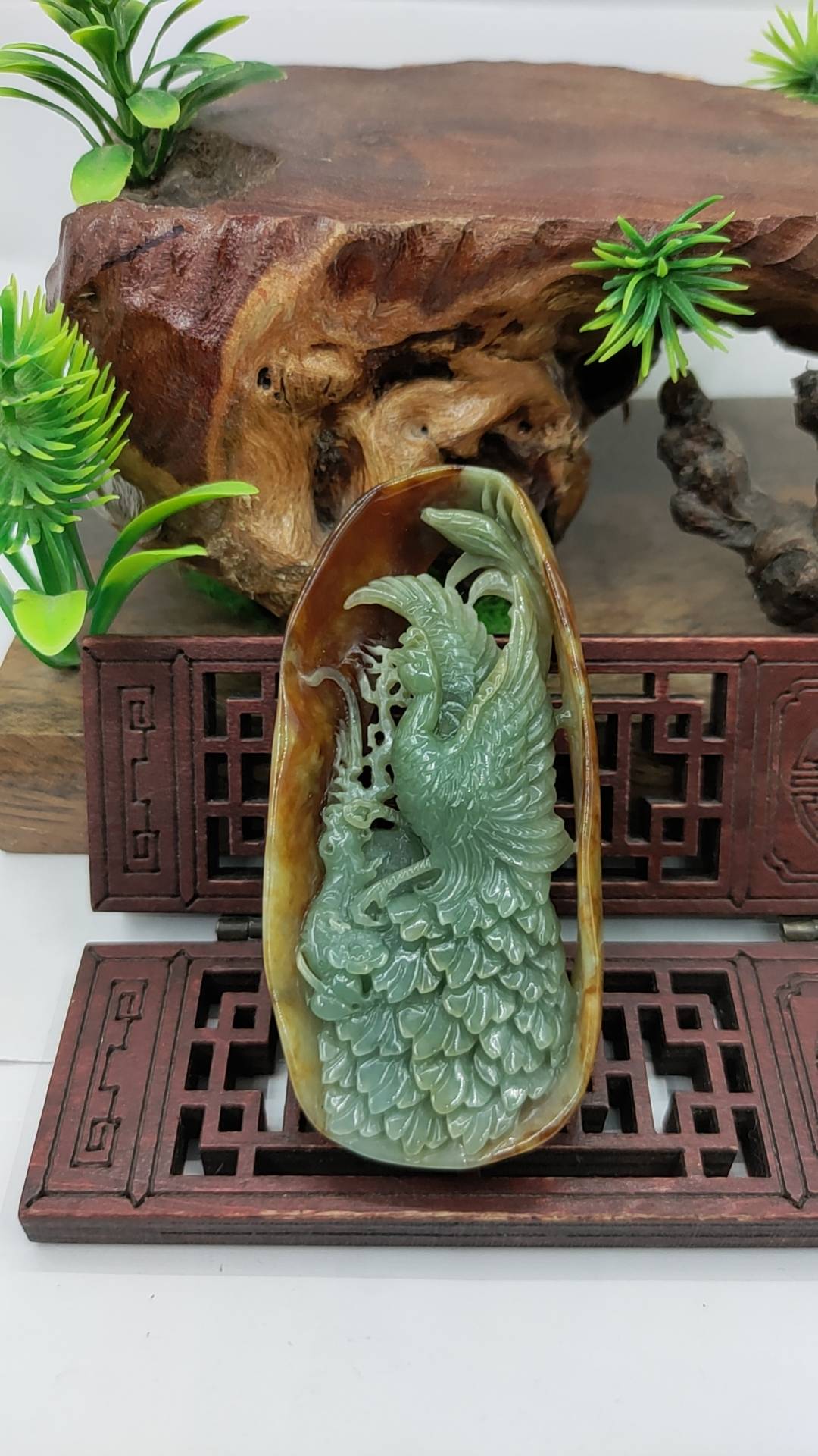 凤舞九天