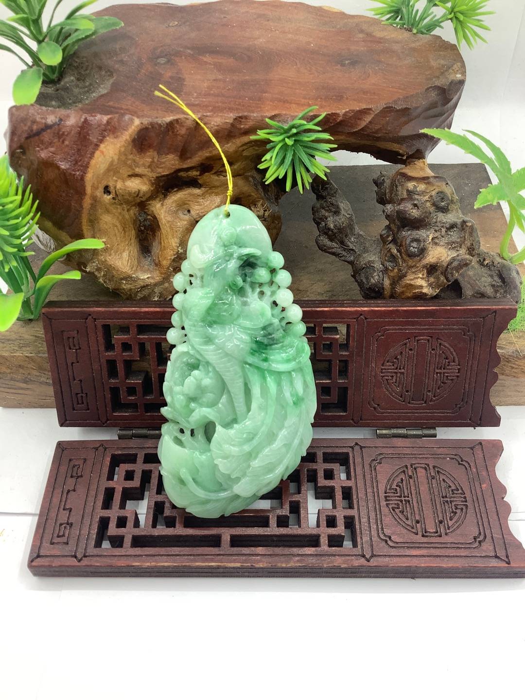 凤舞九天