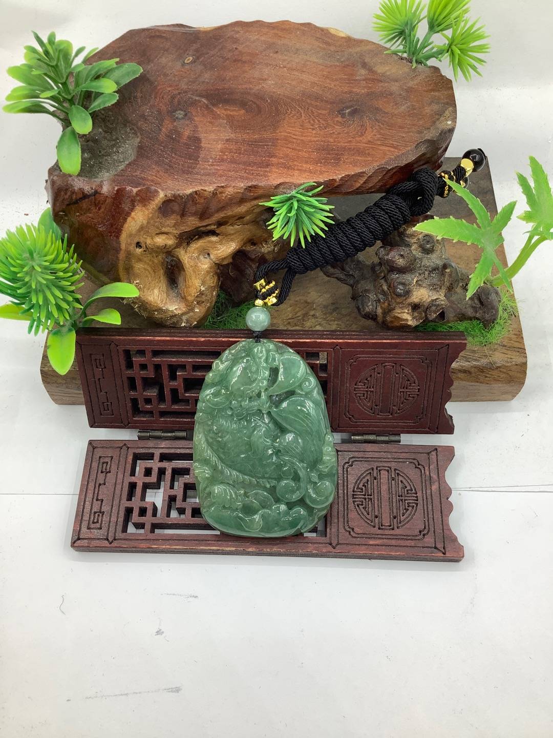 龙鱼