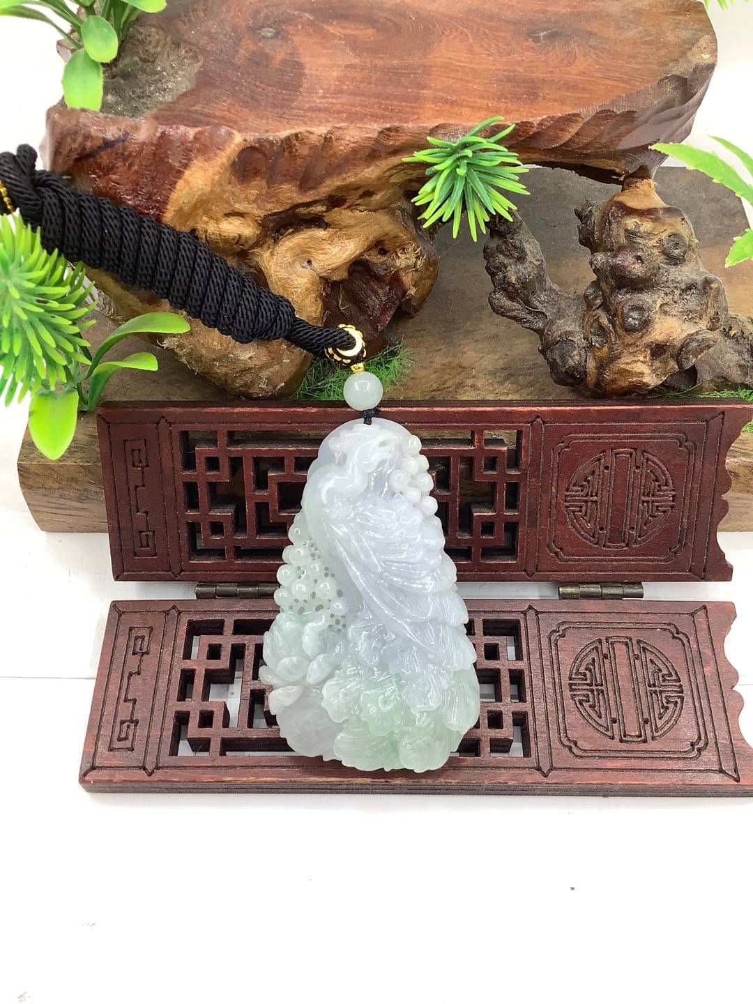 凤舞九天
