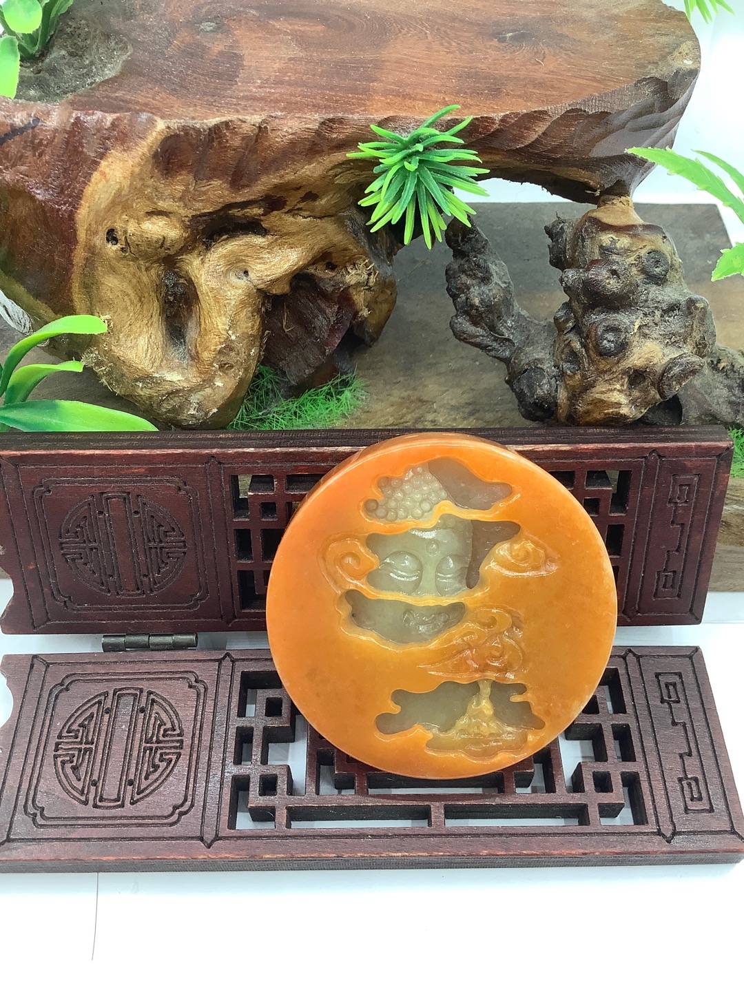 佛观天下