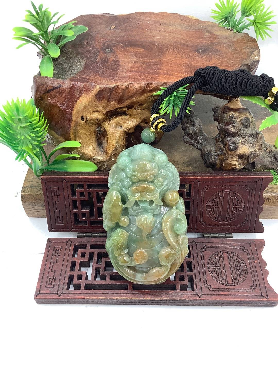 望子成龙