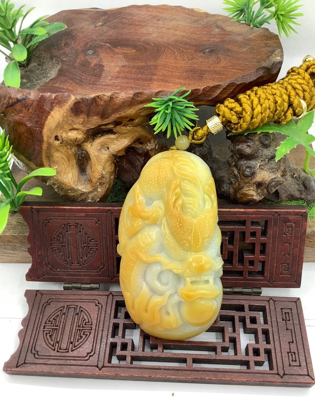 龙霸天下
