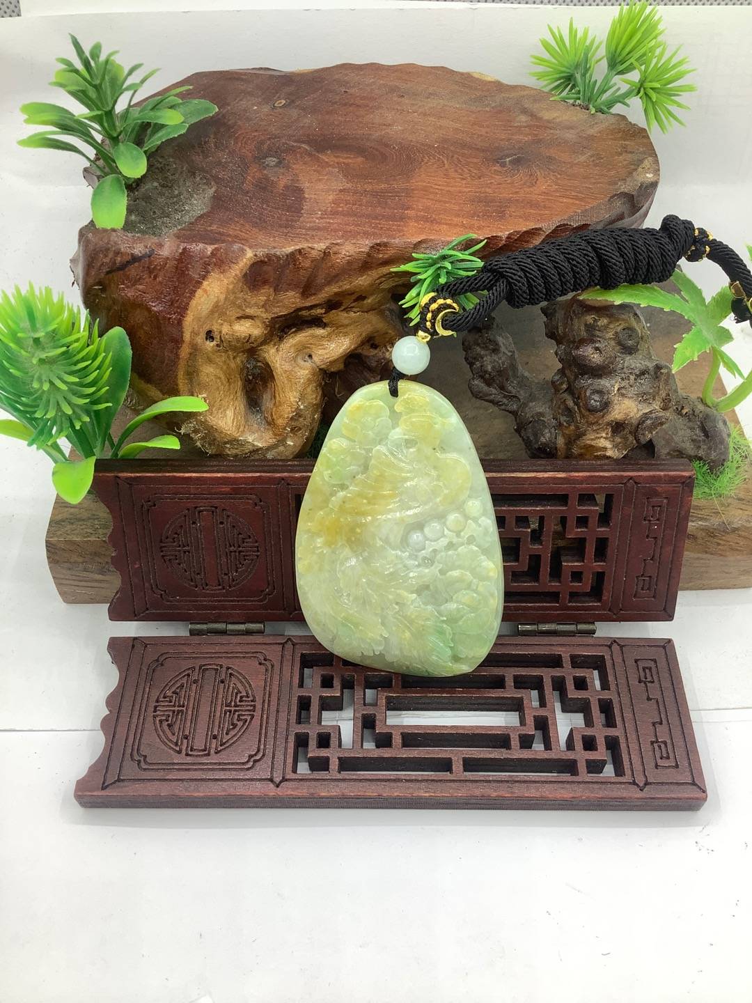 凤舞九天