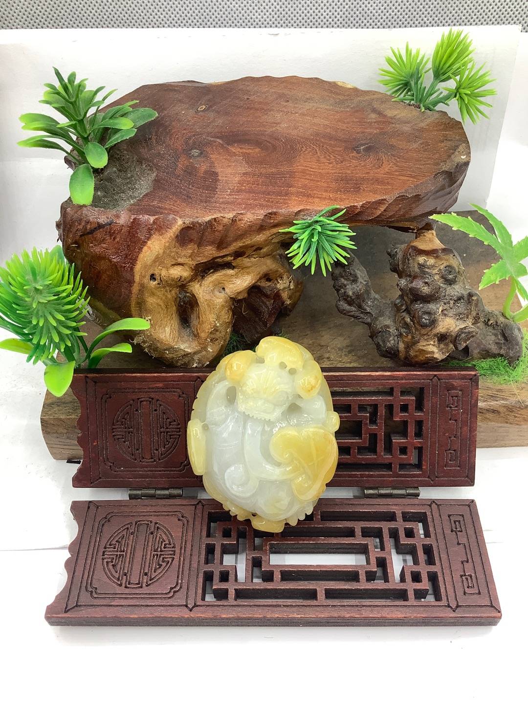 飞龙在天