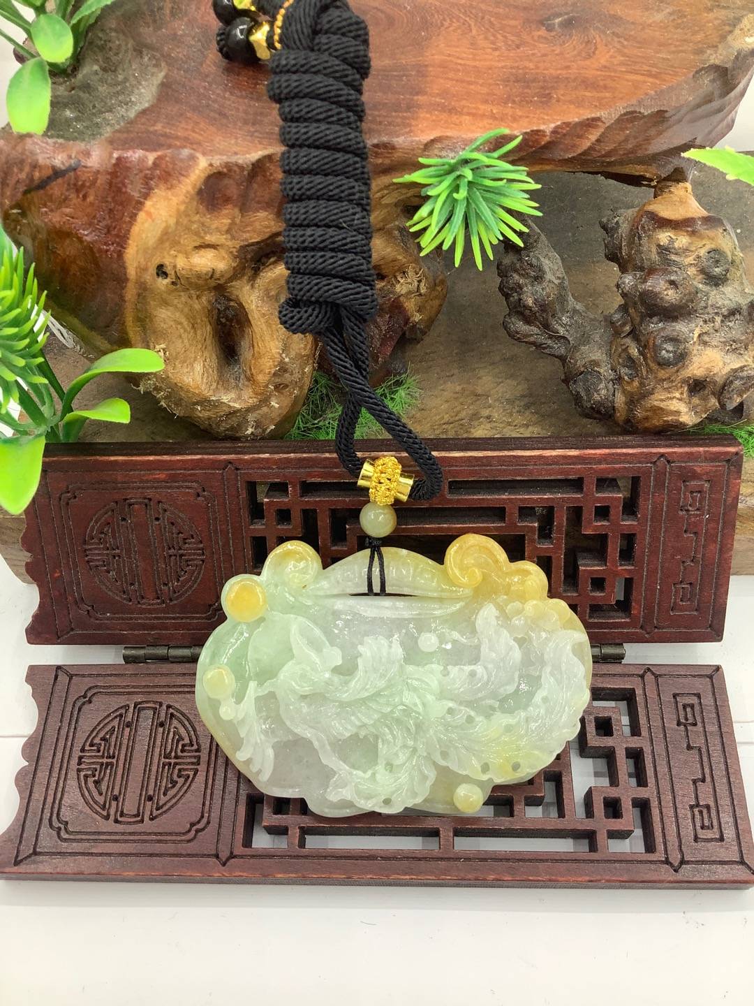 凤舞九天