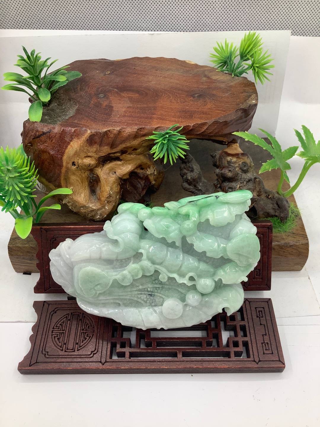 百财聚来