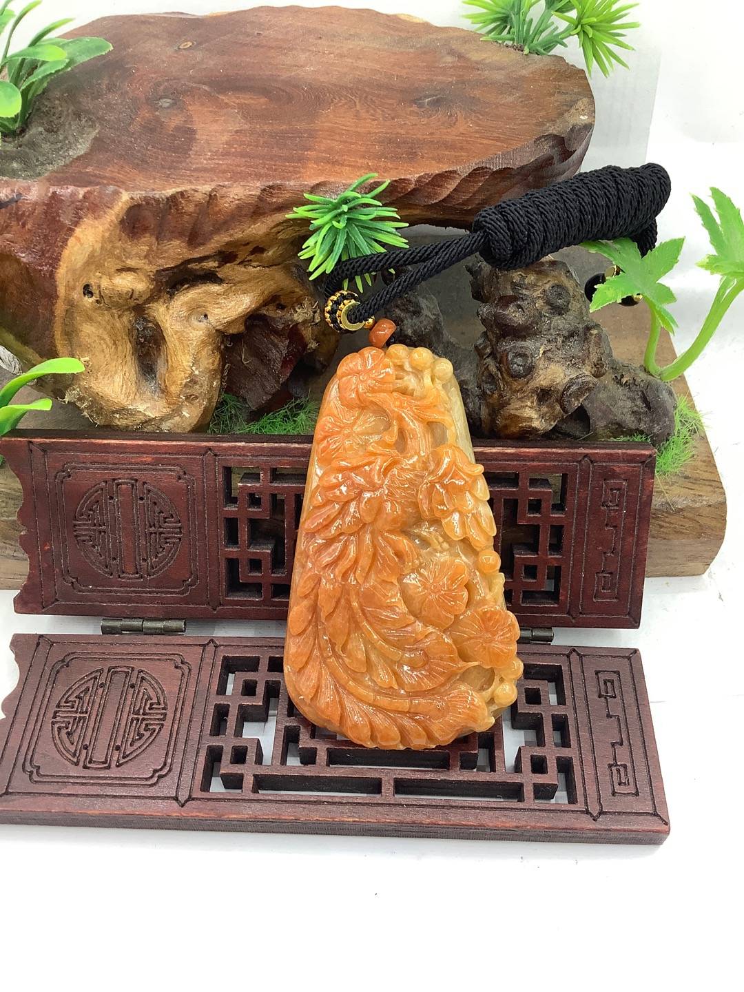 凤舞九天