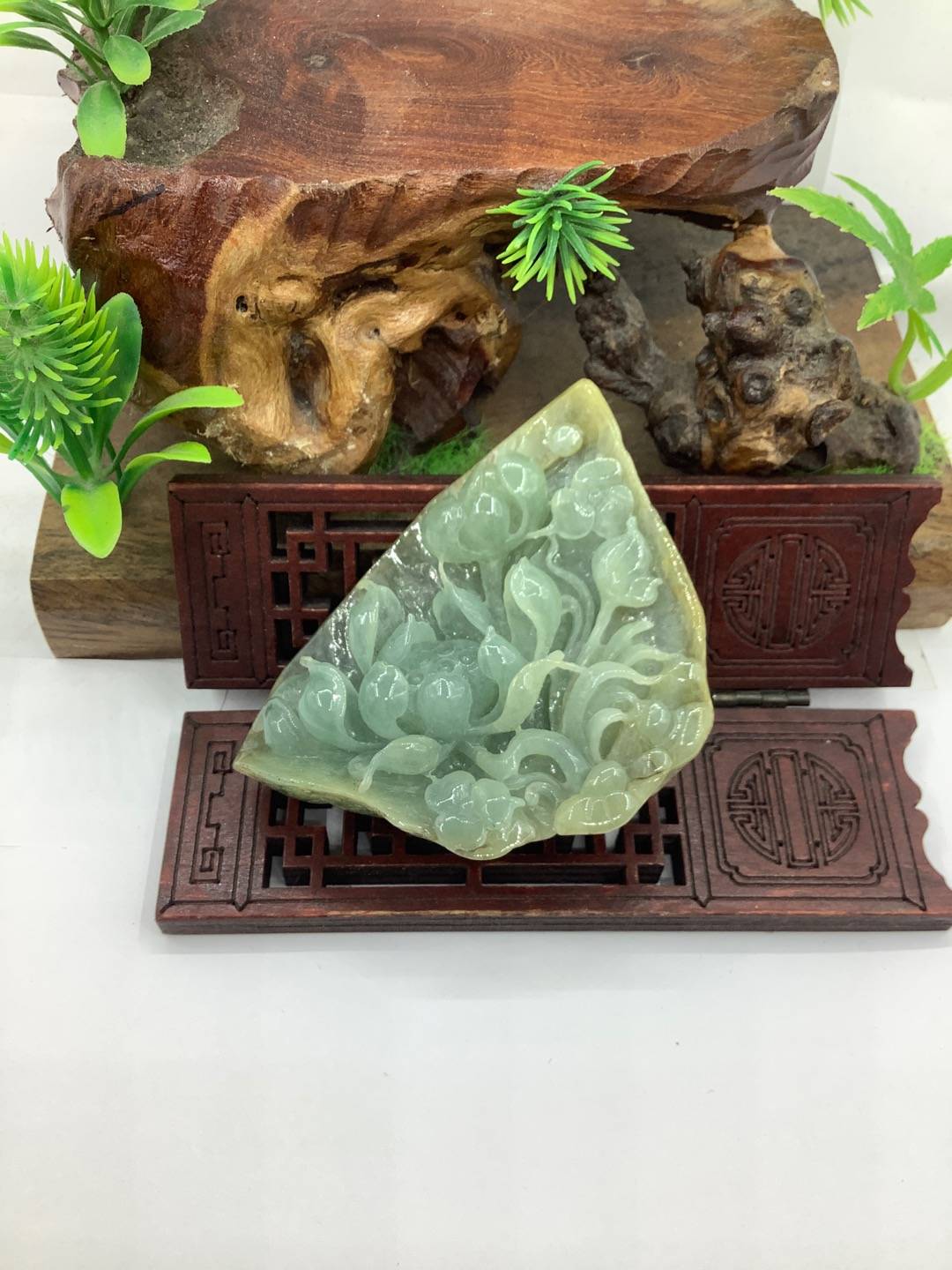 一品青莲