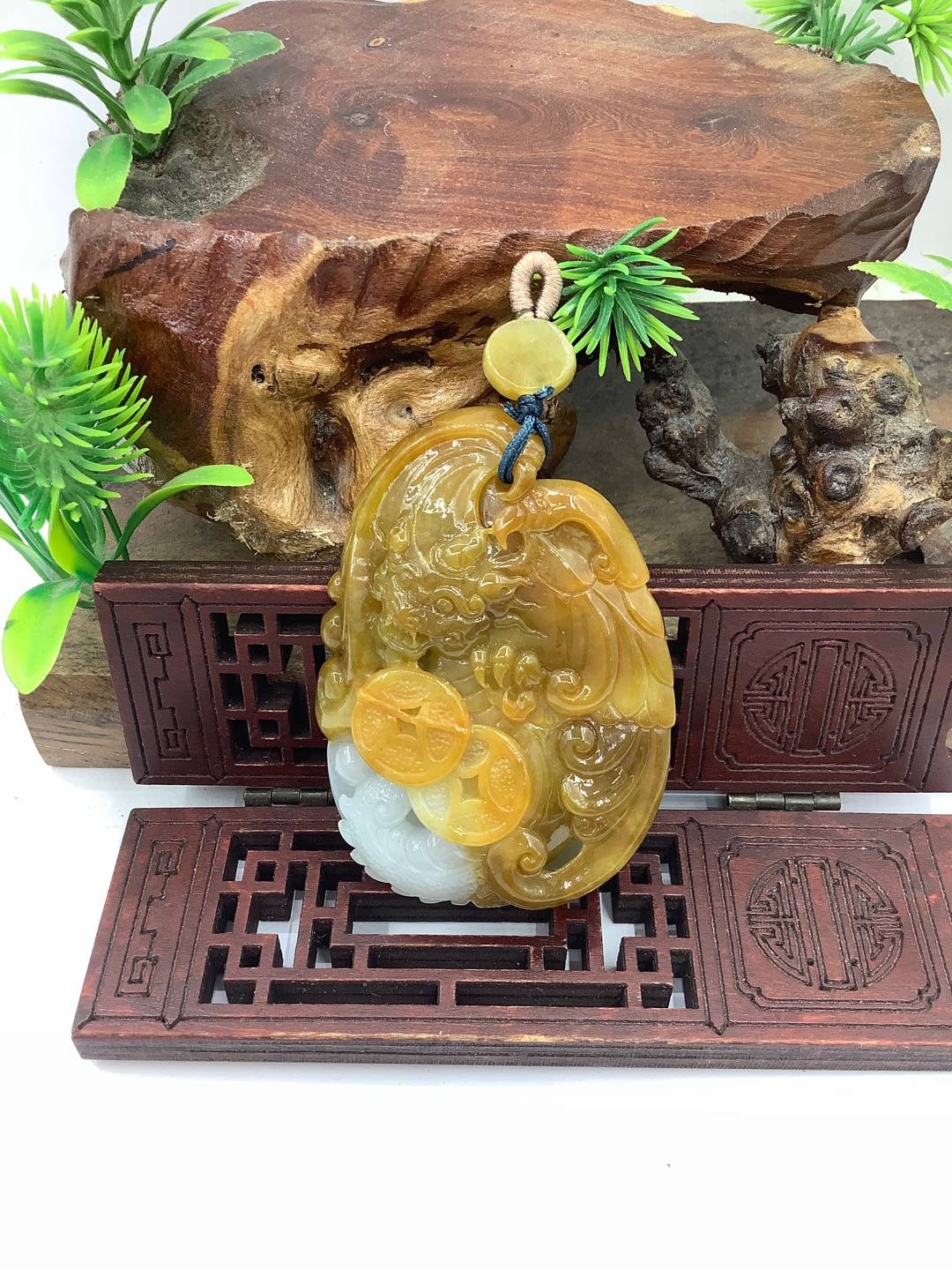 飞龙在天